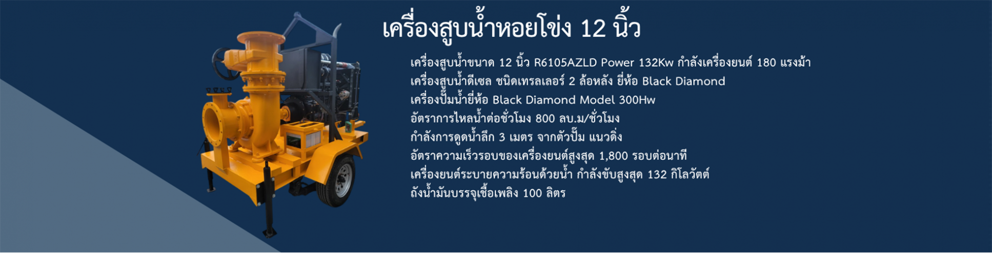 55555555555555555555
